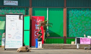 Photo by Rosemary Collard: Dozer the tortoise in front of Cinemazoo in White Rock, British Columbia.